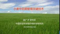 2025小麦中后期管理关键技术-中国农科院作物所
