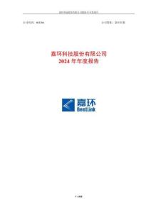 嘉環科技：2024年年度報告