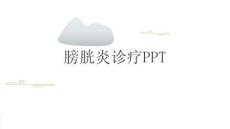 膀胱炎诊疗PPT