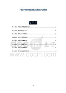 下肢外周神经损伤的再生与修复-全面剖析