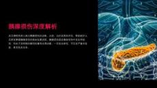 《胰腺损伤深度解析》课件