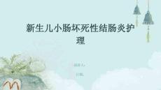 新生儿小肠坏死性结肠炎护理