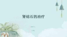 肾结石的治疗