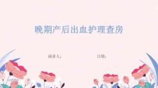 晚期产后出血护理查房