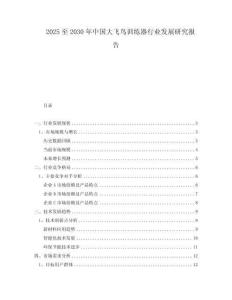 2025至2030年中国大飞鸟训练器行业发展研究报告