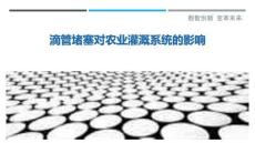 滴管堵塞对农业灌溉系统的影响-洞察剖析