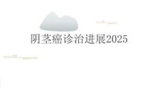 阴茎癌诊治进展2025