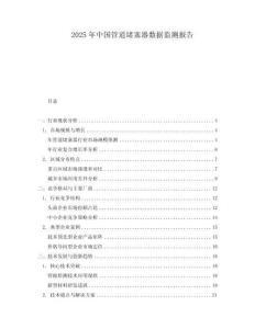 2025年中国管道堵塞器数据监测报告