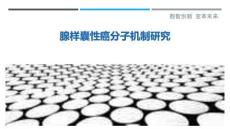 腺样囊性癌分子机制研究-洞察剖析