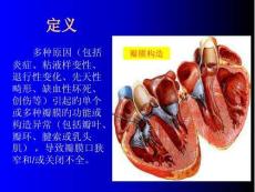 心脏瓣膜疾病进修课程培训课件