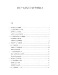 2025年电动龟项目可行性研究报告
