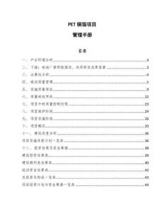 PET铜箔项目管理手册