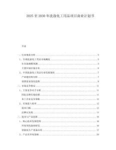 2025至2030年洗滌化工用品項(xiàng)目商業(yè)計(jì)劃書(shū)