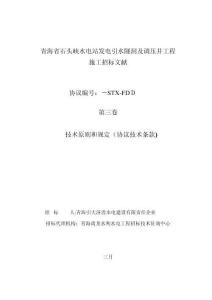 石頭峽技術條款