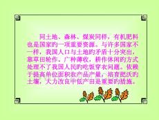 有機肥效解析滋養土壤與作物生長奧秘培訓課件