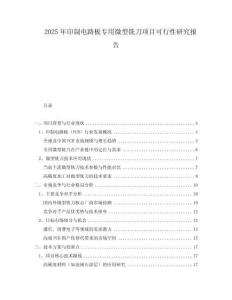 2025年印制电路板专用微型铣刀项目可行性研究报告