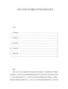 2025-2030年紅銅端子管項(xiàng)目商業(yè)計(jì)劃書