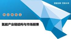 氢能产业链结构与市场前景-洞察阐释
