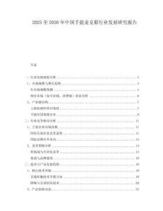2025至2030年中国手提麦克箱行业发展研究报告
