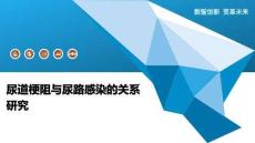 尿道梗阻与尿路感染的关系研究-洞察阐释