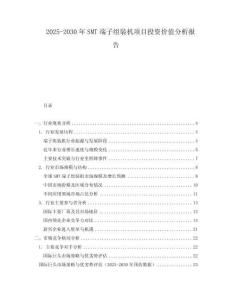 2025-2030年SMT端子组装机项目投资价值分析报告