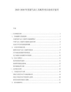 2025-2030年美制气动工具配件项目商业计划书