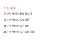 手腕正中神经损伤症状与治疗培训课件