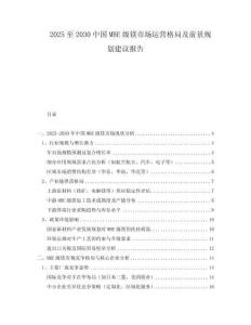 2025至2030中国MBE级镁市场运营格局及前景规划建议报告