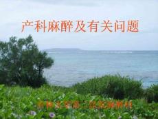 產科麻醉技巧與安全攻略培訓課件