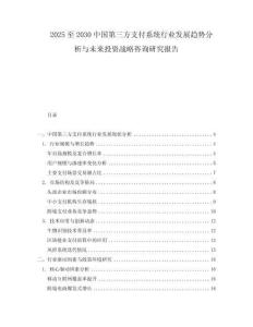 2025至2030中国第三方支付系统行业发展趋势分析与未来投资战略咨询研究报告