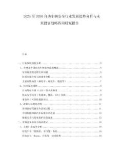 2025至2030自动车辆安全行业发展趋势分析与未来投资战略咨询研究报告