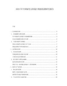 2025年中国焗弯太阳镜片数据监测研究报告