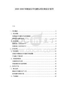 2025-2030年柄加长羊毛磨头项目商业计划书
