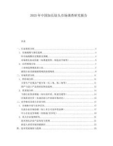 2025年中国加长钻头市场调查研究报告