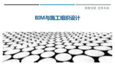 BIM與施工組織設(shè)計-洞察剖析