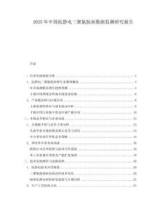 2025年中国抗静电三聚氰胺面数据监测研究报告