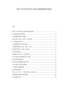 2024年中国手绘毛巾架市场调查研究报告