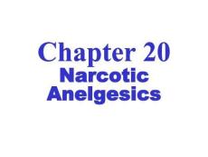 高效麻醉镇痛药物研究进展培训课件