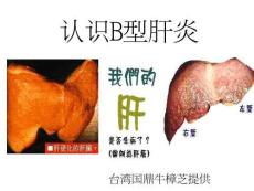 掌握乙肝知识科学预防乙肝侵害培训课件