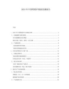 2024年中国烤箱炉数据监测报告
