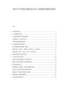 2025年中国球头镀铬加长内六角数据监测研究报告