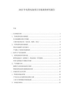 2025年电筒电池项目市场调查研究报告