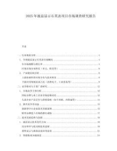 2025年液晶显示石英表项目市场调查研究报告