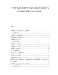 中国指针式角度仪行业市场发展前景及发展趋势与投资战略研究报告2025-2028版