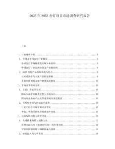 2025年805A杏灯项目市场调查研究报告