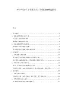 2025年加长马车螺栓项目市场调查研究报告