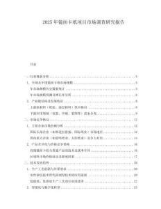 2025年镜面卡纸项目市场调查研究报告