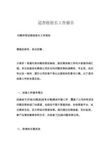 巡查组组长工作报告