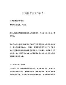 江西团省委工作报告