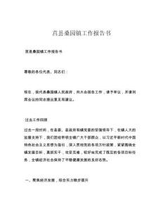莒县桑园镇工作报告书